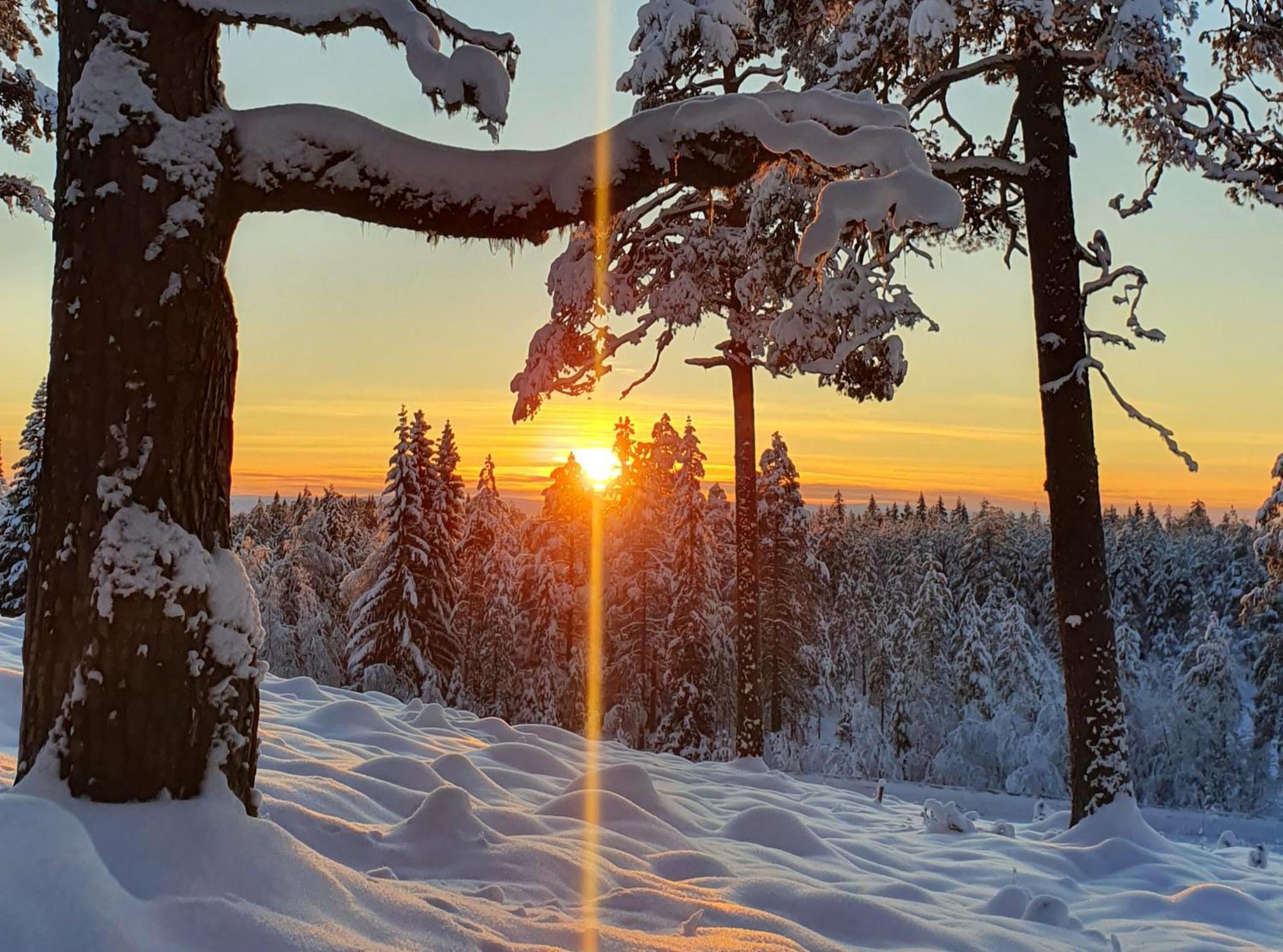 Stationshuset Dalarna Apartments Sörsjön Eksteriør bilde