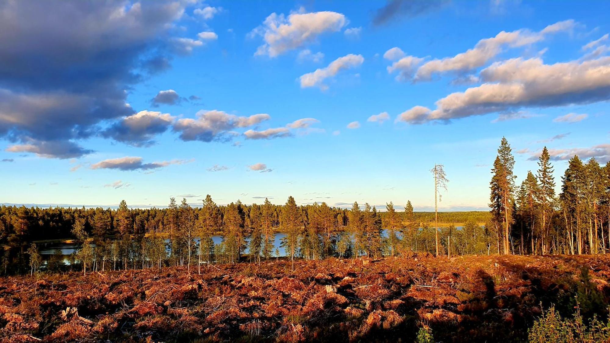 Stationshuset Dalarna Apartments Sörsjön Eksteriør bilde