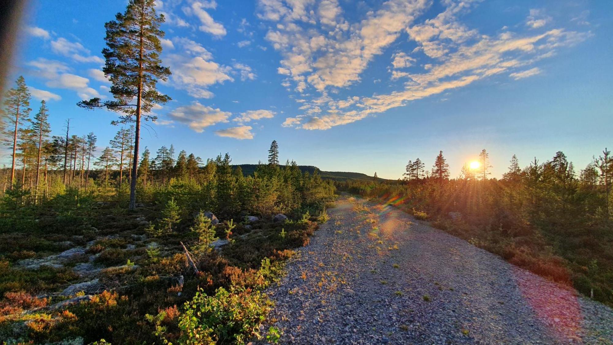 Stationshuset Dalarna Apartments Sörsjön Eksteriør bilde